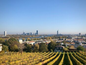 Explore the Beer Gardens of Munich Like a Local